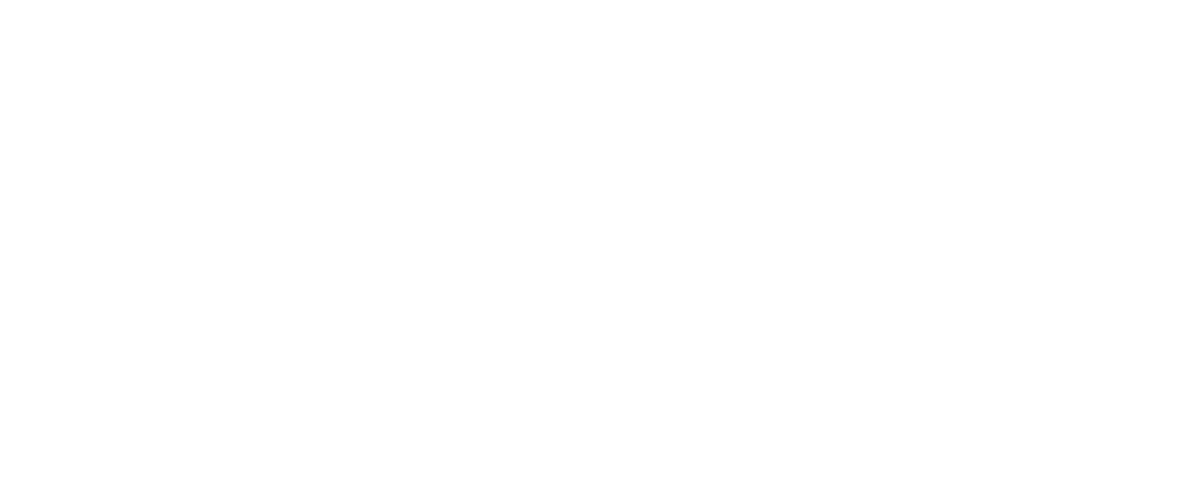 Villa's Mobile Detailing